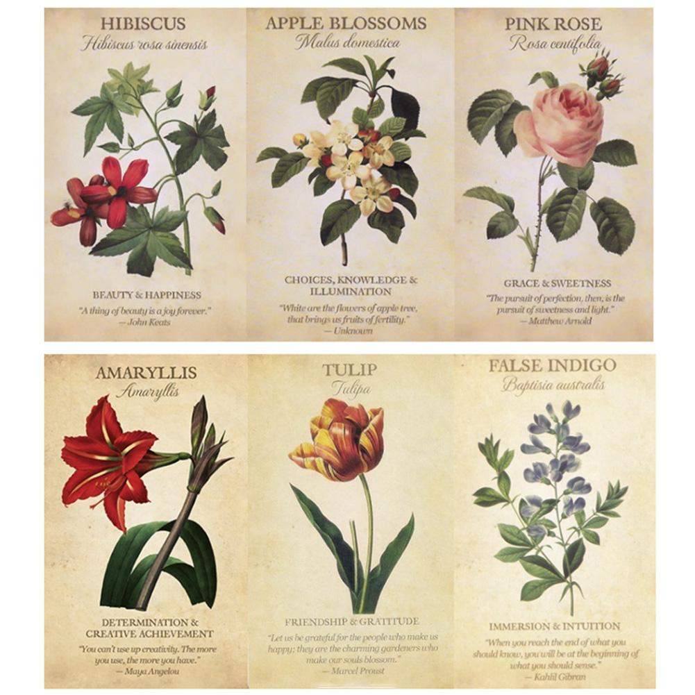 Inspirasi botani kartu Oracle  - Board Game Inspiration ulasan dan harga